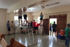 Painting the church in Alfa